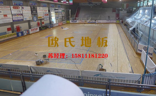 中國(guó)舞臺(tái)運(yùn)動(dòng)木地板市場(chǎng)商機(jī)