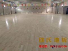 國(guó)內(nèi)運(yùn)動(dòng)木地板價(jià)格行情兩極分化